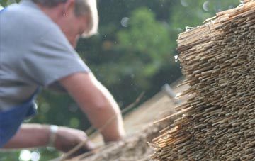 professional Hasting Hill thatchers